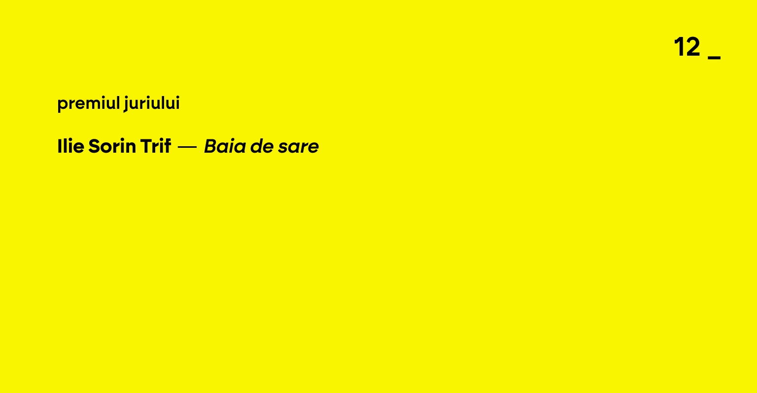 20 12 POEZIE 2